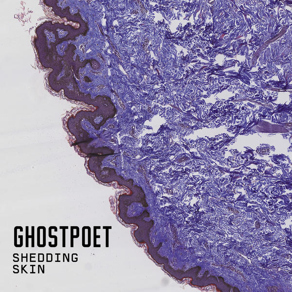 14 ghostpoet