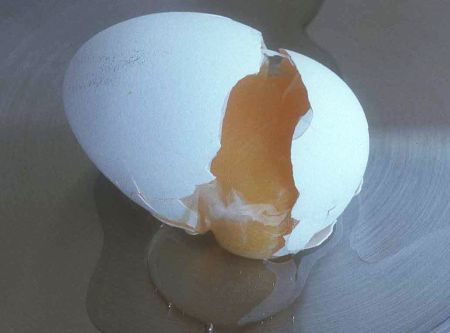 egg.jpg
