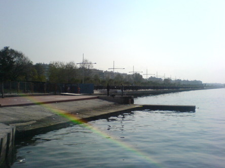 parelia5