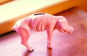 pig.jpg