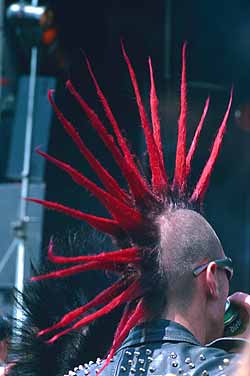punks.jpg