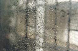rain.jpg