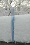 snow.jpg