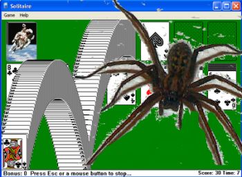 spider-solitaire