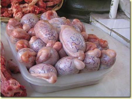 testicles testicles