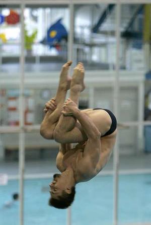 wbdiving.jpg